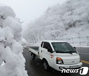 내륙 -3도 다시 영하권…눈·비 얼어 곳곳 빙판길[내일날씨]