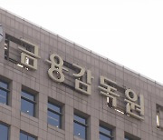 "홍콩 ELS 손실, 내년 4월 정점"...금감원, 현장검사 조기 착수