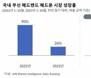 "국내 무선 헤드폰 시장 26% 증가…성장폭 둔화"