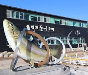 빙어-송어-산천어까지! 겨울철 낚시 축제 3 #가볼만한곳