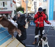 312만 가구가 반려동물 기르는데… “데리고 갈 곳 없어” [멍멍냥냥]