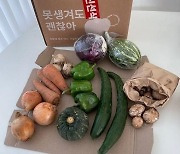 “얼굴 뜯어먹고 살거 아니잖아”…결혼 아닙니다, 채소입니다