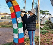 정읍시민정원사 정성에 '색동옷' 입힌 멋진 가로수 탄생