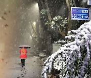 중국에 '냉동실 한파'…폭설에 천둥·까마귀떼 등장에 "불길한 징조"