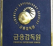 은행 CEO 승계절차 최소 3개월 전 알려야…금감원 제시