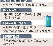 너도나도 ‘머티리얼즈’… 이차전지 원료사업 불붙었다