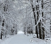 Severe Weather Vermont