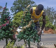 ZIMBABWE CHRISTMAS