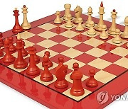 Holiday Gifts Chess Sets