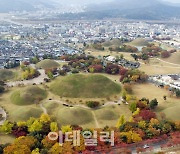 경주 대릉원·동궁과 월지 '2023 한국 관광의 별' 선정