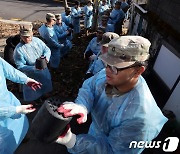 미군 장병들의 '사랑의 연탄' 배달