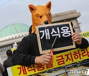 개식용 금지 특별법 촉구 퍼포먼스