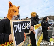 개식용 금지 촉구하는 한국동물보호연합