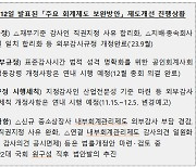 자산 2조 미만 사장사, 내부회계 감사 5년 유예