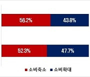 국민 절반 이상, “내년에도 가계 소비 줄일 계획”