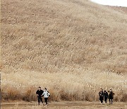 낮부터 기온 올라…동해안 너울 주의