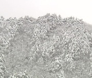 이례적 기상특보 뒤 펼쳐진 설경 장관…제설작업도 구슬땀