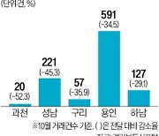 과천·성남 거래량, 한달 새 '반토막'…"당분간 매수 위축"