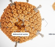 바이러스 기반 항암백신, 美FDA 패스트트랙 최초로 지정