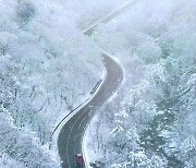 향로봉 73.7㎝ 폭설… 오늘 전국에 추위 찾아온다