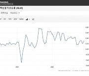 휘발유 6% 떨어졌는데 美물가 3%대 요지부동…왜?