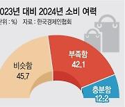 국민 절반 “내년 씀씀이 줄일것”… ‘짠물 소비’ 확산