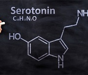 행복호르몬 ‘세로토닌’ 퇴화, 인지기능·기억력 저하에도 ‘영향’