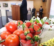 농진청, 순환식 수경재배 품목별 배액 재사용 기술 개발