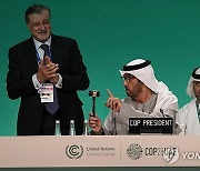 COP28 Climate Summit