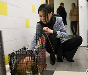 고양이 쓰다듬는 김건희 여사