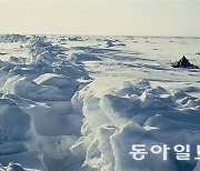 이번주 영상 10도 다음주 영하 10도… 겨울날씨 극한변덕 왜?