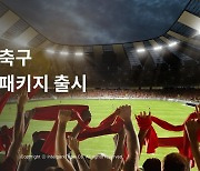 인터파크, '유럽 축구 직관 패키지' 출시…축구 전문가 동행