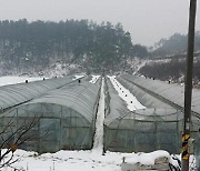 함평군, 겨울철 한파·폭설 대비 시설물 관리 당부