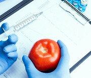 ‘GMO’정보 A부터 Z까지…생명硏 ‘바이오안전성백서’ 발간