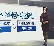 [생활날씨] 내일 집중호우·산간 대설…최대 50㎝ 큰눈