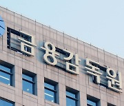 금감원 "가계대출 DSR 우회 영업한 은행들 적발"