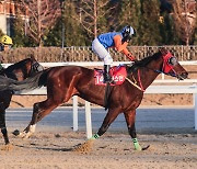 [경마] 2023년 한국경마 결산 무대, 제41회 그랑프리(G1)