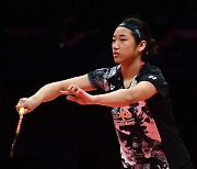 'BWF 올해의 선수' 안세영, 라이벌 타이쯔잉 잡고 극적 4강행…BWF 파이널대회 백하나-이소희, 서승재-강민혁도 승전보