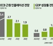 ECB, 금리 인하 일축했지만…시장 "Fed 따라갈 것" 전망