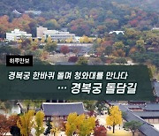 [하루만보]경복궁 한바퀴 돌며 청와대를 만나다…경복궁 돌담길