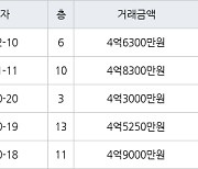 수원 화서동 화서역 블루밍푸른숲아파트 59㎡ 4억6300만원에 거래