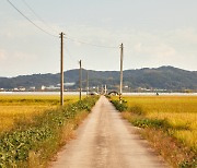 옆집 여성 쳐다보며 음란행위 한 목사…아내는 피해자 탓만