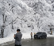 이번 주말 한파·대설 온다…강원 산지 최대 10㎝ 눈