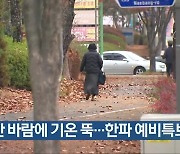 광주·전남 강한 바람에 기온 뚝…한파 예비특보