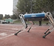 [영상]美 MIT 치타 제쳤다…KAIST 로봇개, 100m 달리기 기네스 기록