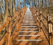 용인 기흥구, 석성산 등산로 파손 구간 정비