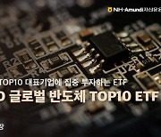 [ETF 줌인] 엔비디아 등 글로벌 반도체 대장주 집중 투자