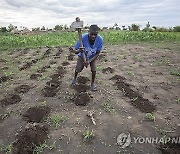 ZIMBABWE AGRICULTURE