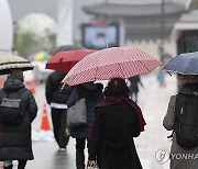 전국에 하루종일 겨울비…강원 산지 '10∼20㎝' 많은 눈