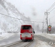 설국으로 변한 진부령